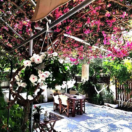 Apartments Athina أوريكوم المظهر الخارجي الصورة