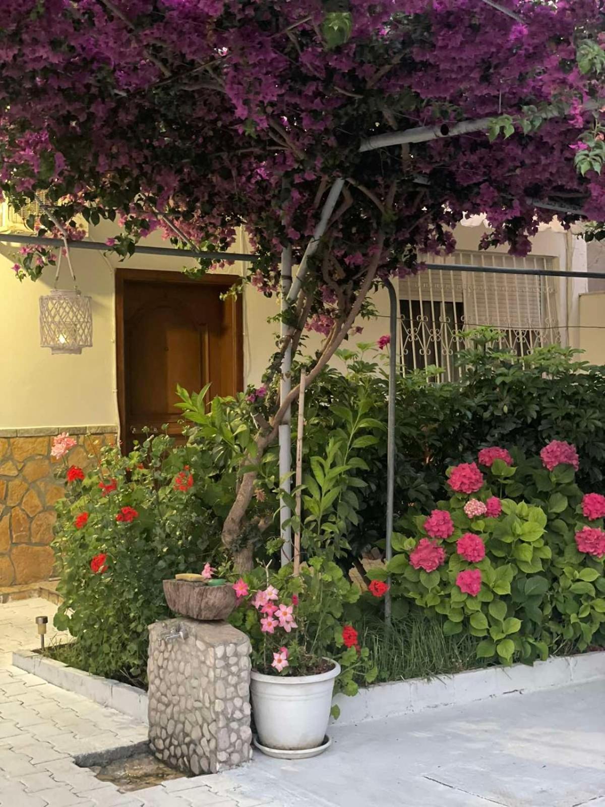 Apartments Athina أوريكوم المظهر الخارجي الصورة